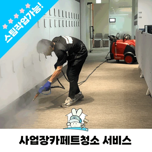 사업장 카페트청소 고온스팀살균 작업가능 카페트바닥청소 카펫청소 전문업체 ( 견적문의 1666-1583 )